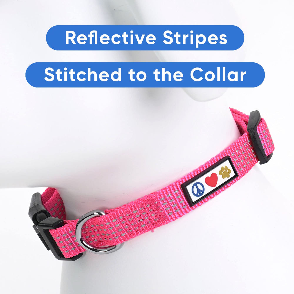Collar Pawtitas ajustable y duradero para perros pequeños en uso diario