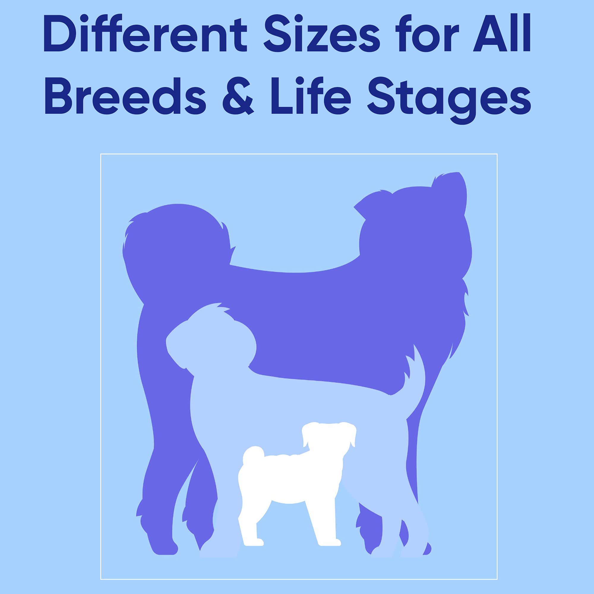 Collar Pawtitas para perros pequeños, ajuste seguro y cómodo