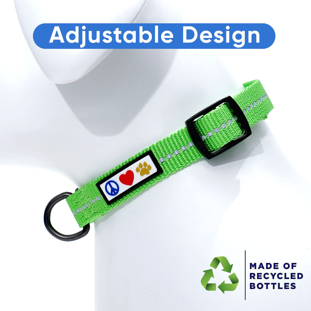 Pawtitas collar eco amigable, opción responsable para dueños conscientes