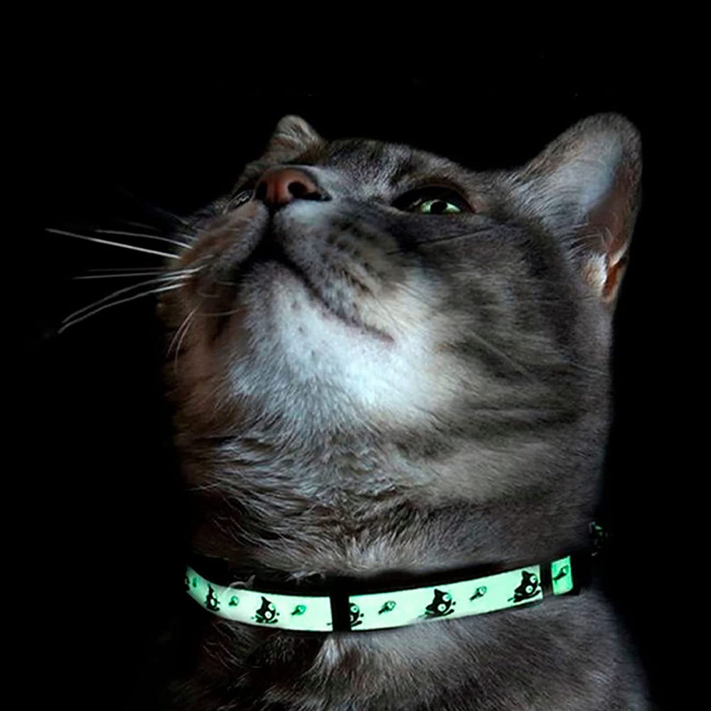 Pawtitas mejora la visibilidad nocturna para paseos seguros.