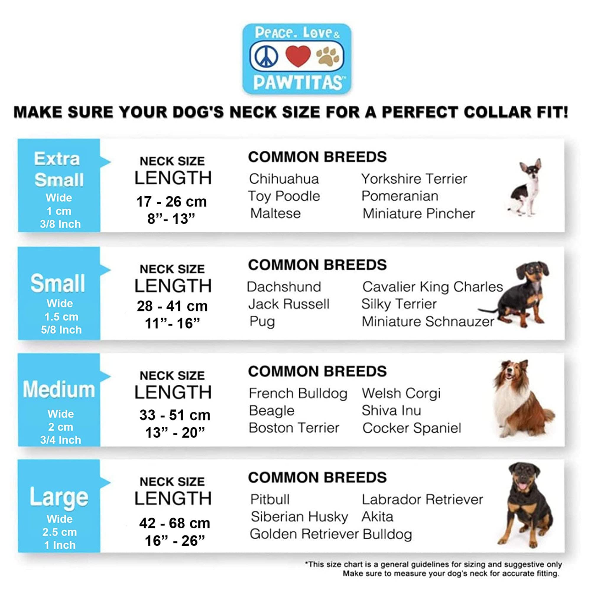 Pawtitas collar para paseos nocturnos, práctico para perros activos.