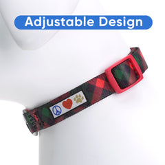 Collar Pawtitas personalizado con nombre y teléfono para identificación.