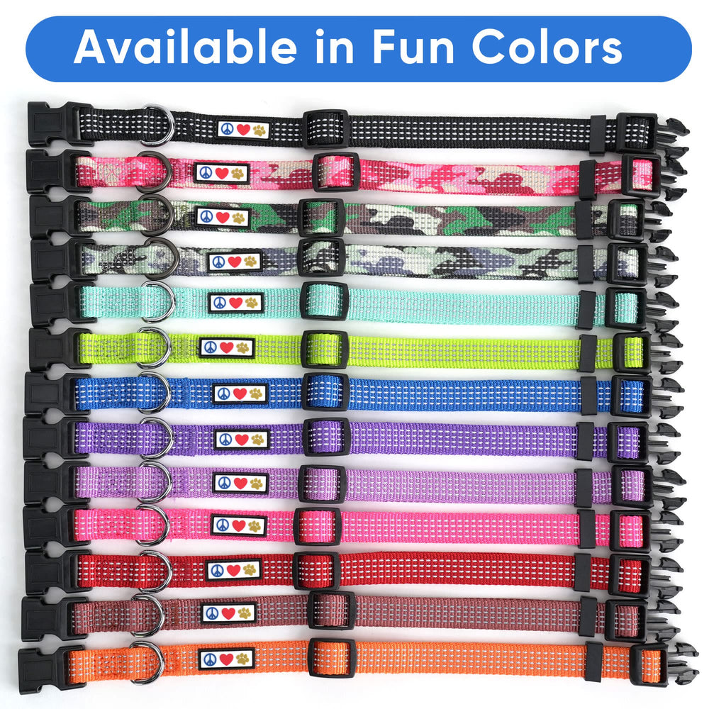 Conjunto Pawtitas de accesorios reflectivos: collar, arnés y correa a juego.