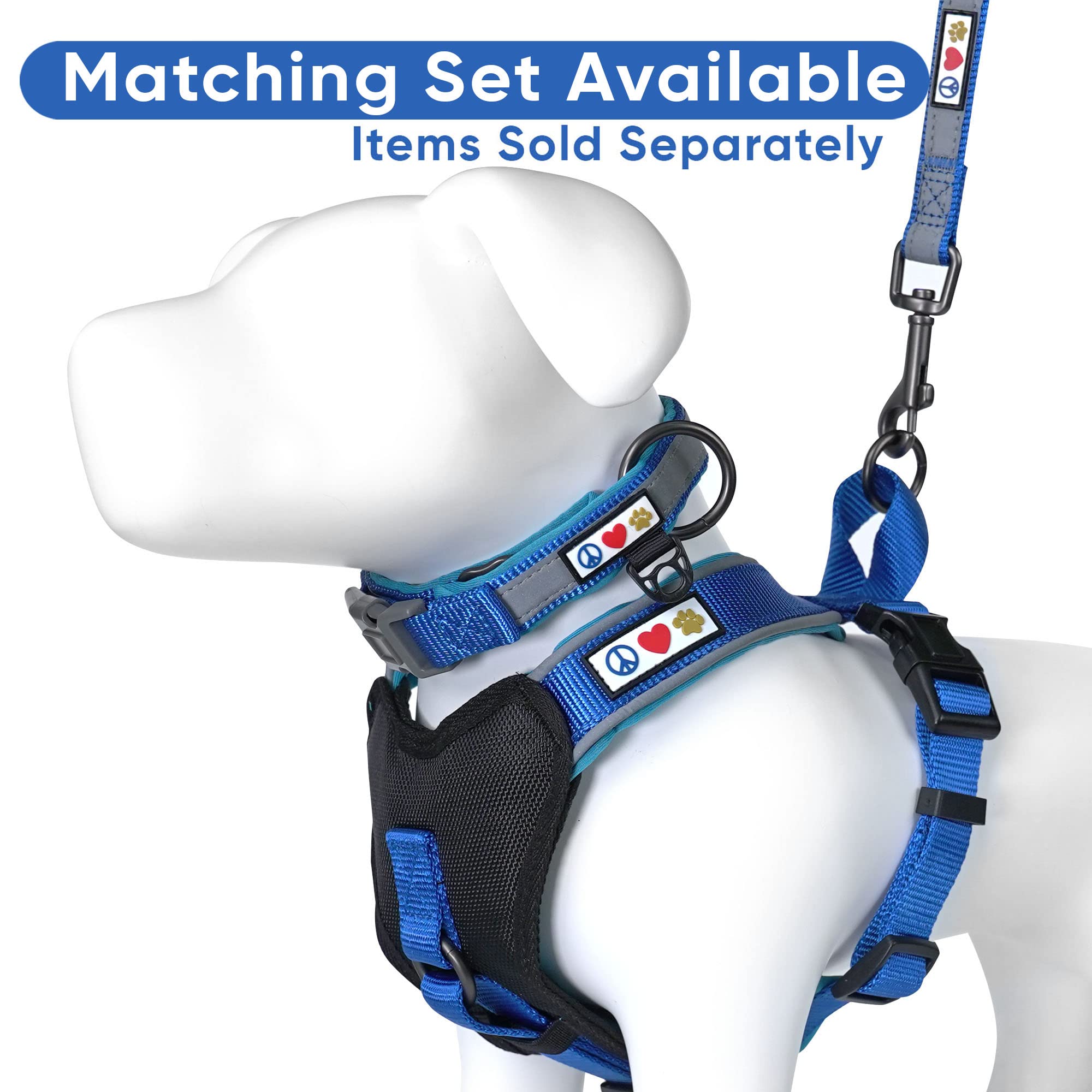 Pawtitas correa 1 pulgada para perros medianos, ideal para paseos diarios