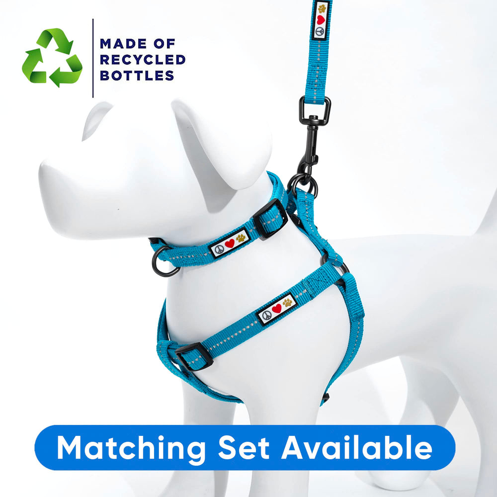 Pawtitas collar en escena para paseos al anochecer