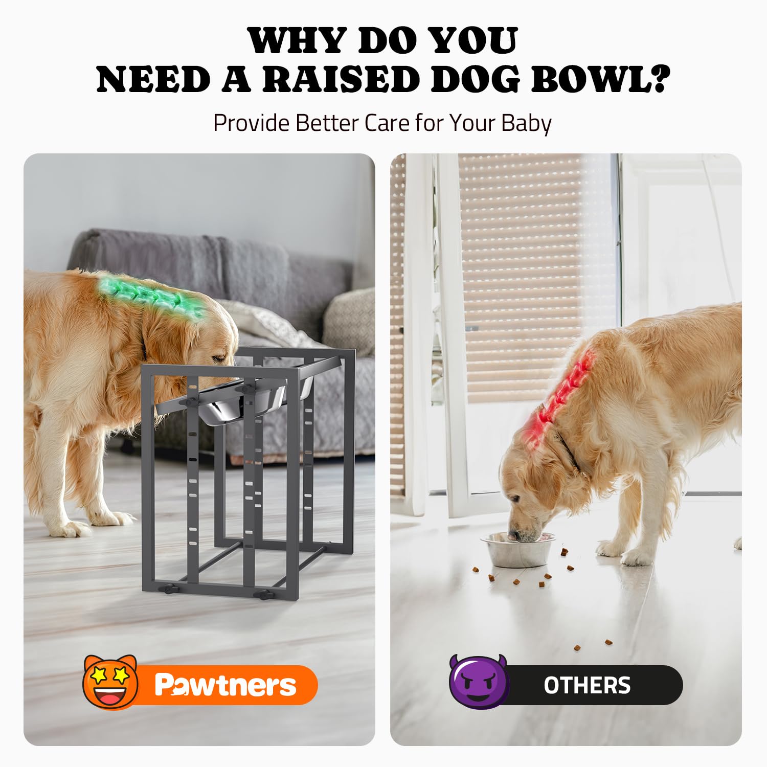 Pawtners anillo amortiguador para plato elevado, minimiza movimientos y ruido.