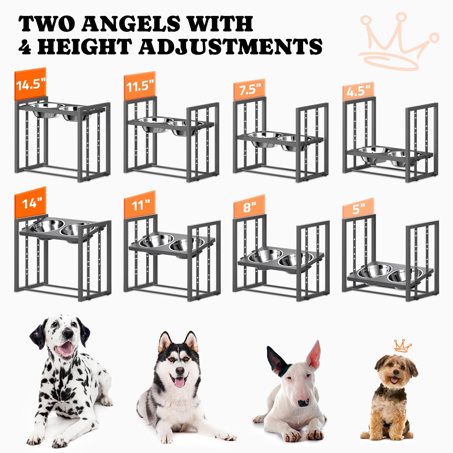Pawtners base metalica resistente, ideal para uso diario con perros activos.
