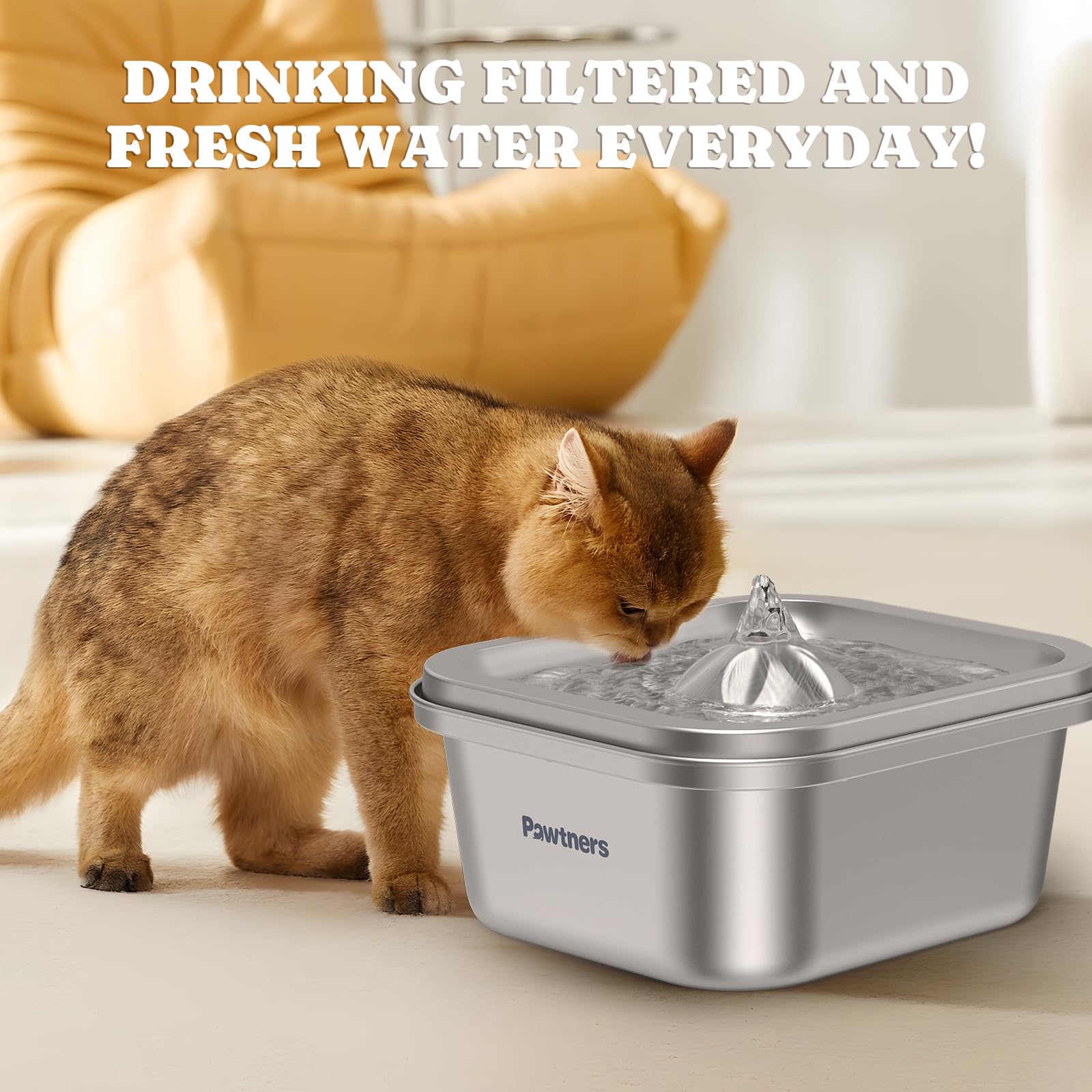 Pawtners WF008A: fuente en uso con filtro para agua limpia.