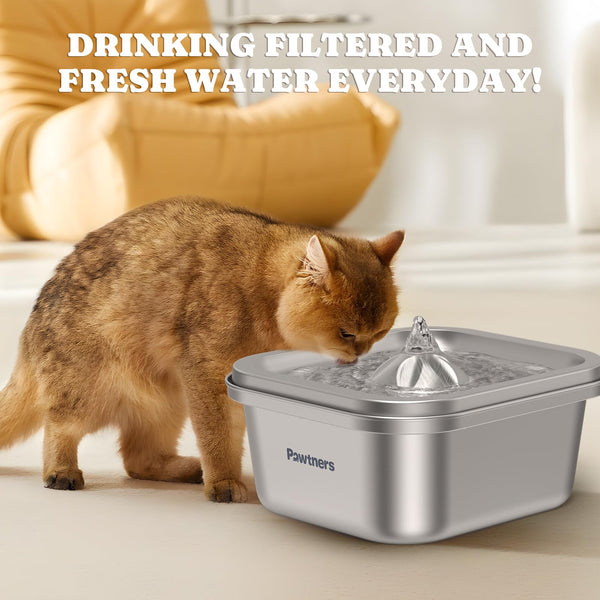 Pawtners WF008A: fuente en uso con filtro para agua limpia.