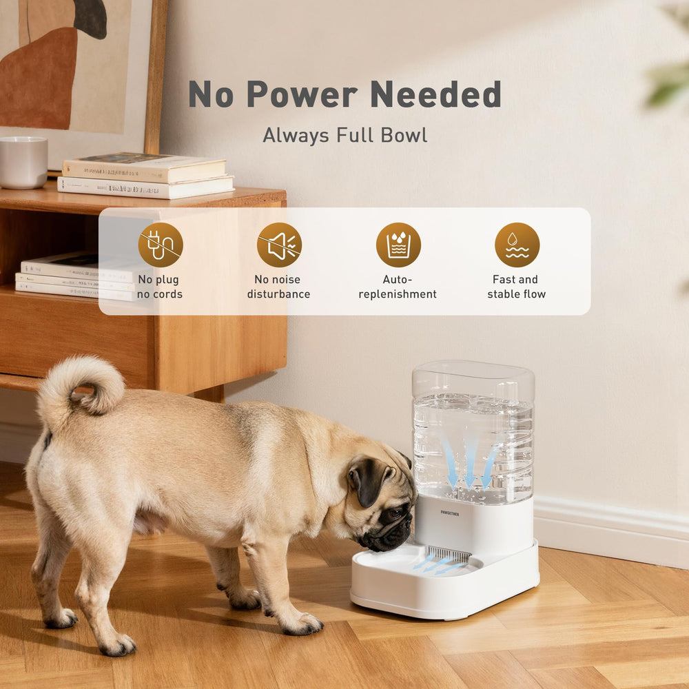 PAWGETHER dispensador de gravedad para gatos, agua continua disponible