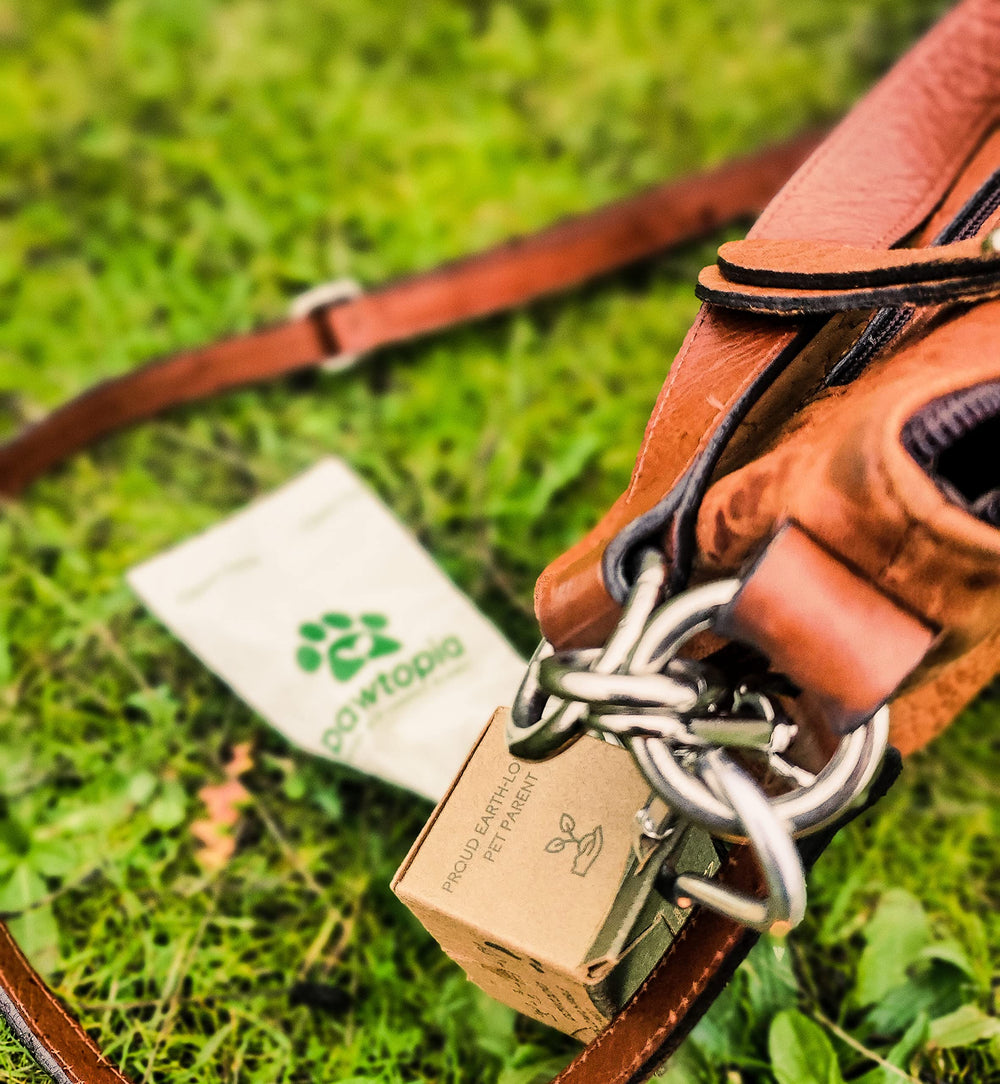 Pawtopia uso para rescates y donaciones en la comunidad.