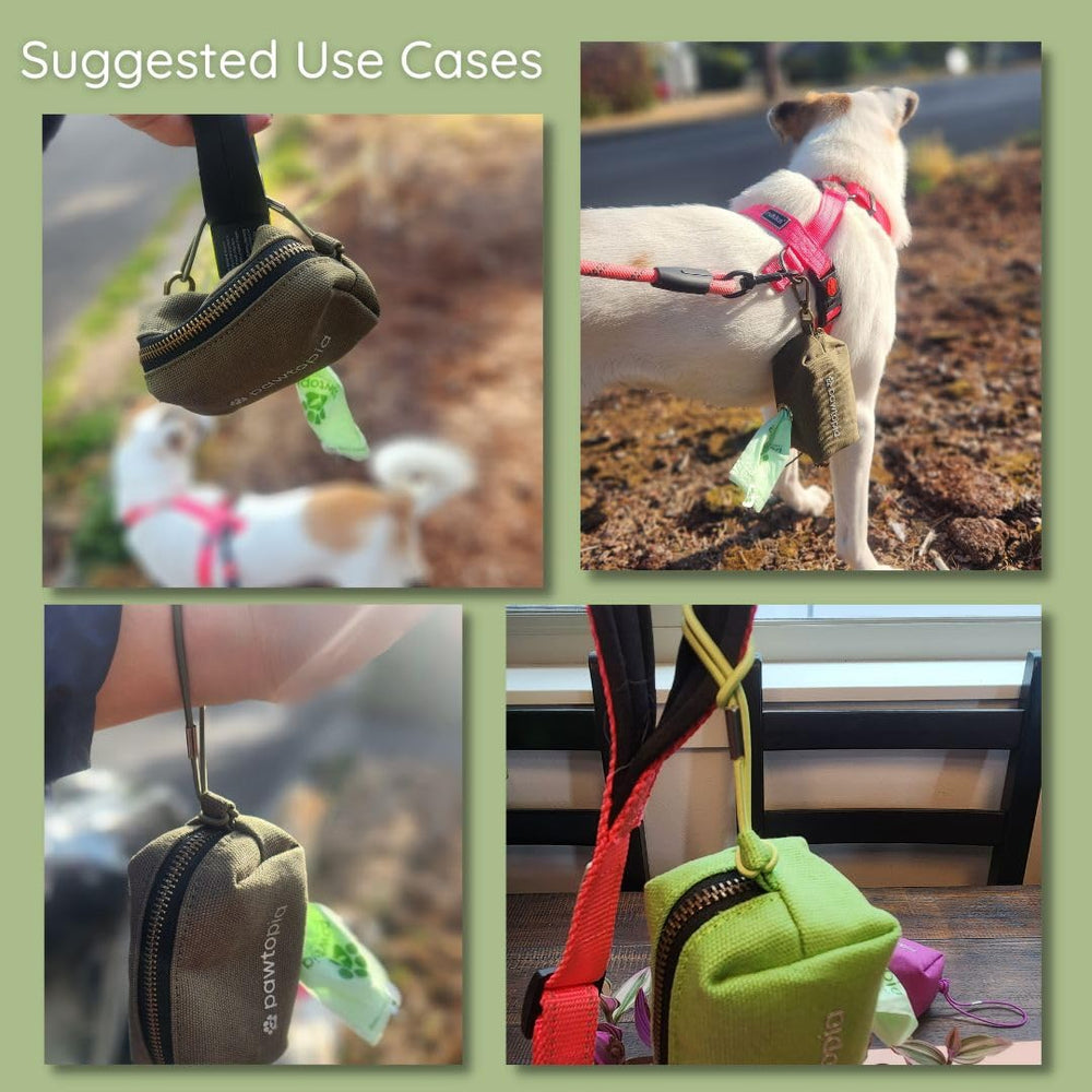 Pawtopia: dispensador lavable a máquina para higiene fácil.