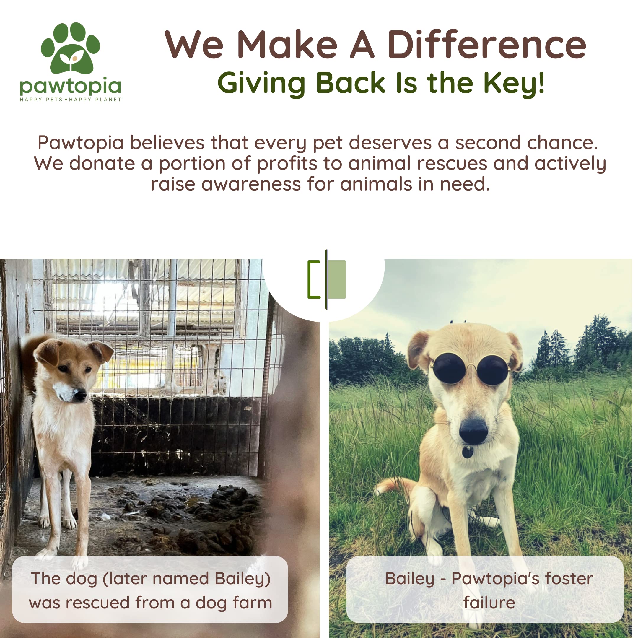 Empaque reciclable de Pawtopia para un consumo responsable
