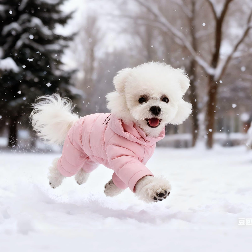 PawUnion tejido exterior impermeable y fácil de limpiar resiste la suciedad