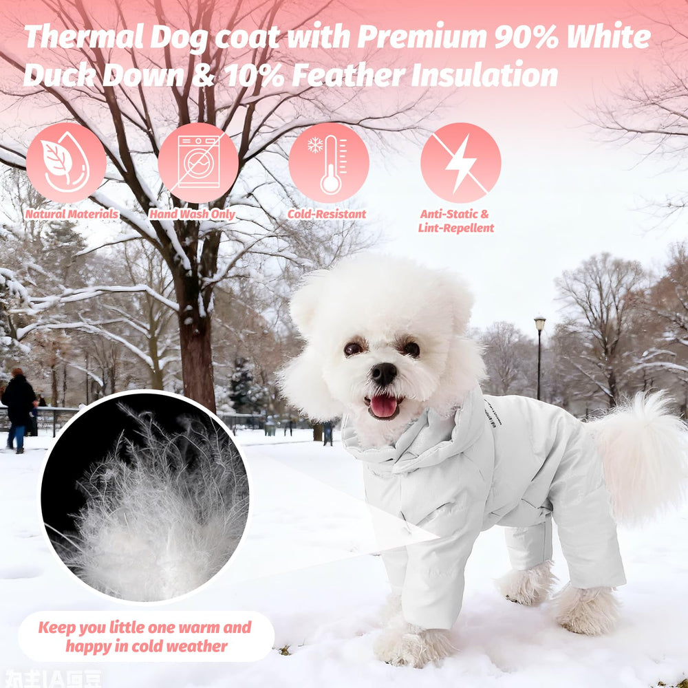 PawUnion exterior impermeable resiste lluvia y barro para salidas invernales