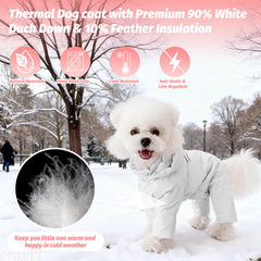 PawUnion exterior impermeable resiste lluvia y barro para salidas invernales