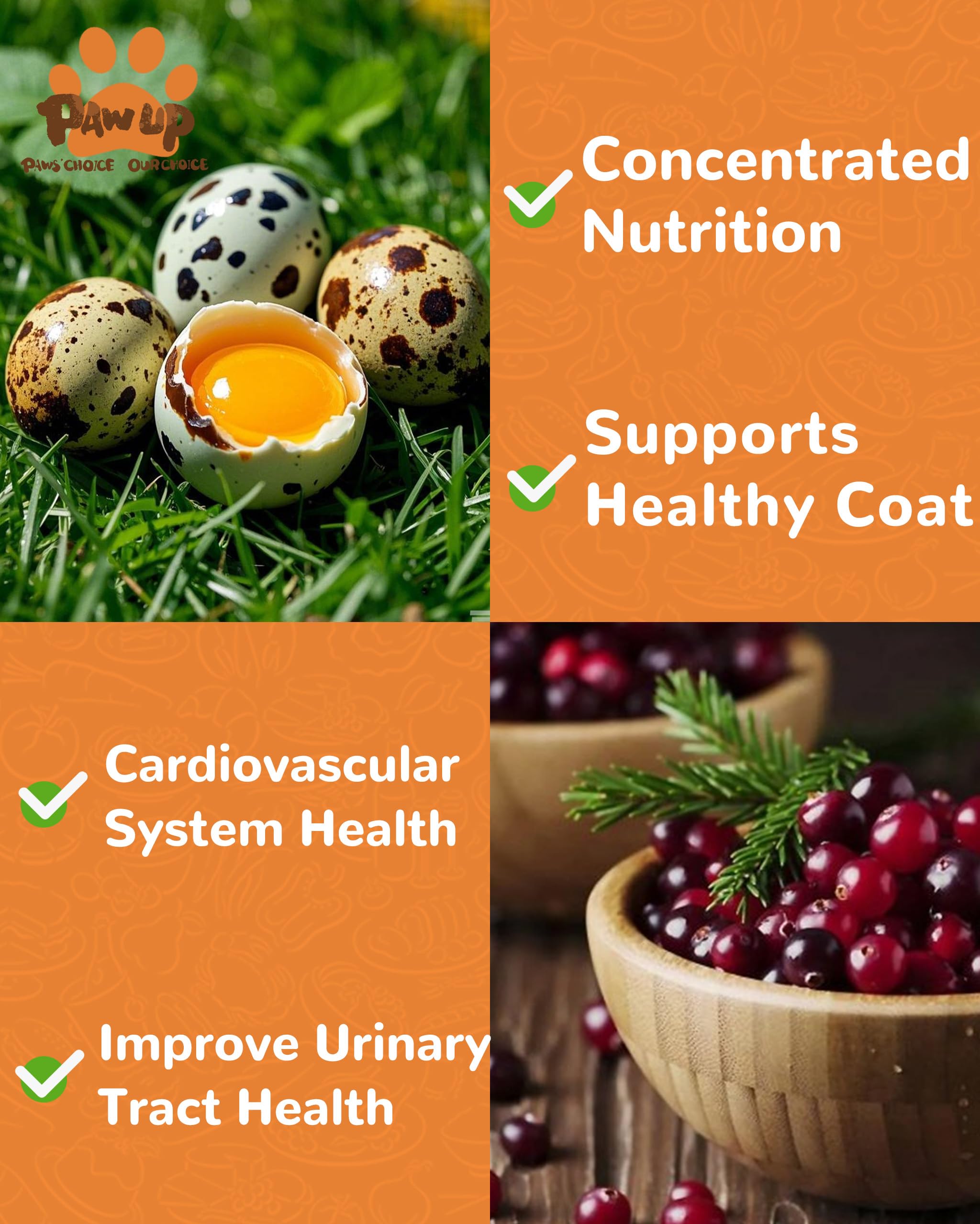 PAWUP arándano-nutricion-antioxidantes: apoyo antioxidante para mascotas.