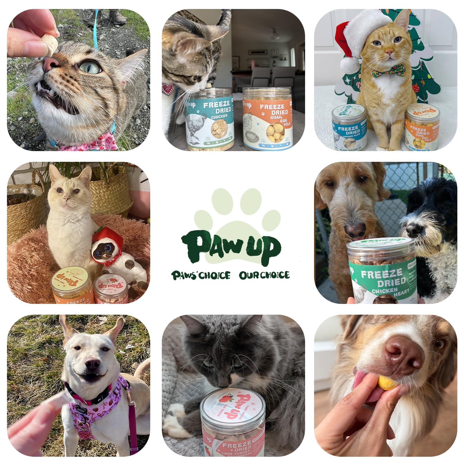 PAWUP mejillones deshidratados, olor suave y apetitoso para perros exigentes