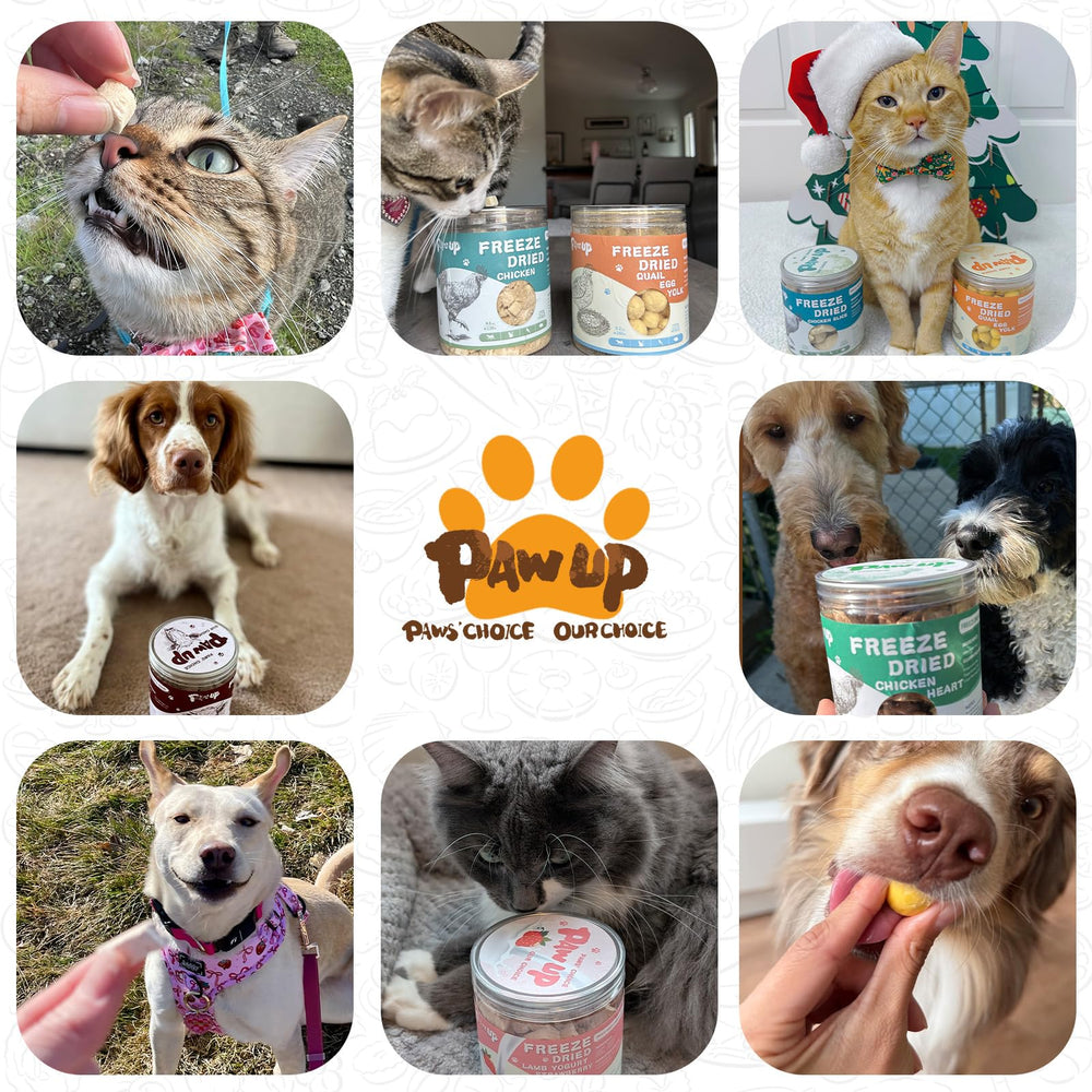 PAWUP premio sabroso para perros con estomagos sensibles.