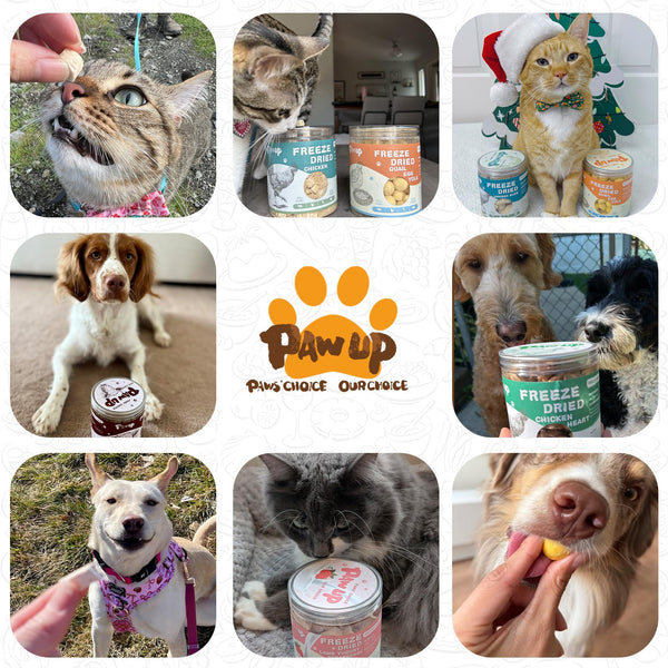 PAWUP premio sabroso para perros con estomagos sensibles.