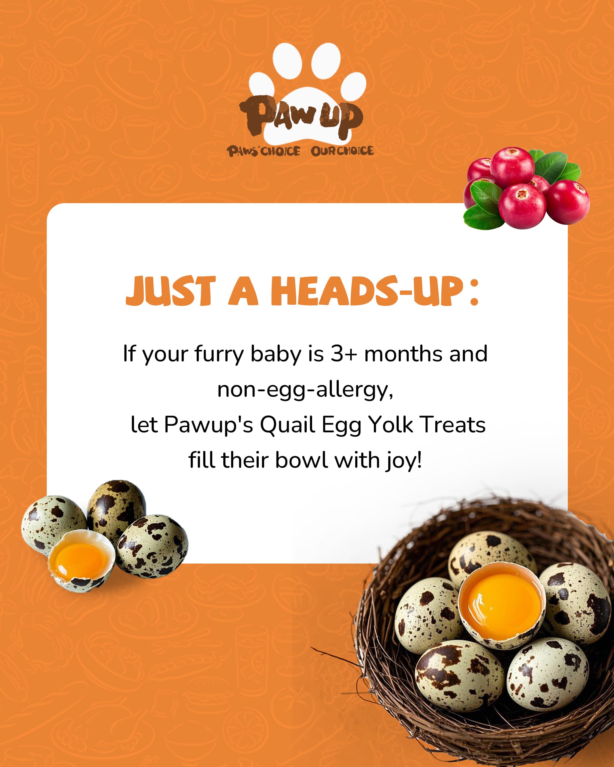 PAWUP remate-de-comida: añade un toque sabroso a las comidas.