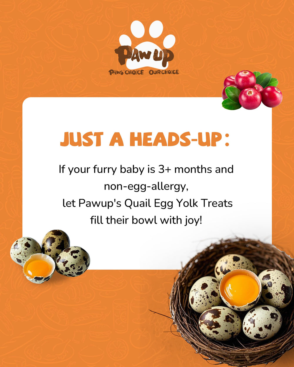 PAWUP remate-de-comida: añade un toque sabroso a las comidas.