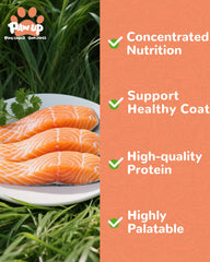 PAWUP Salmón para entrenamiento, refuerzo sabroso y saludable.