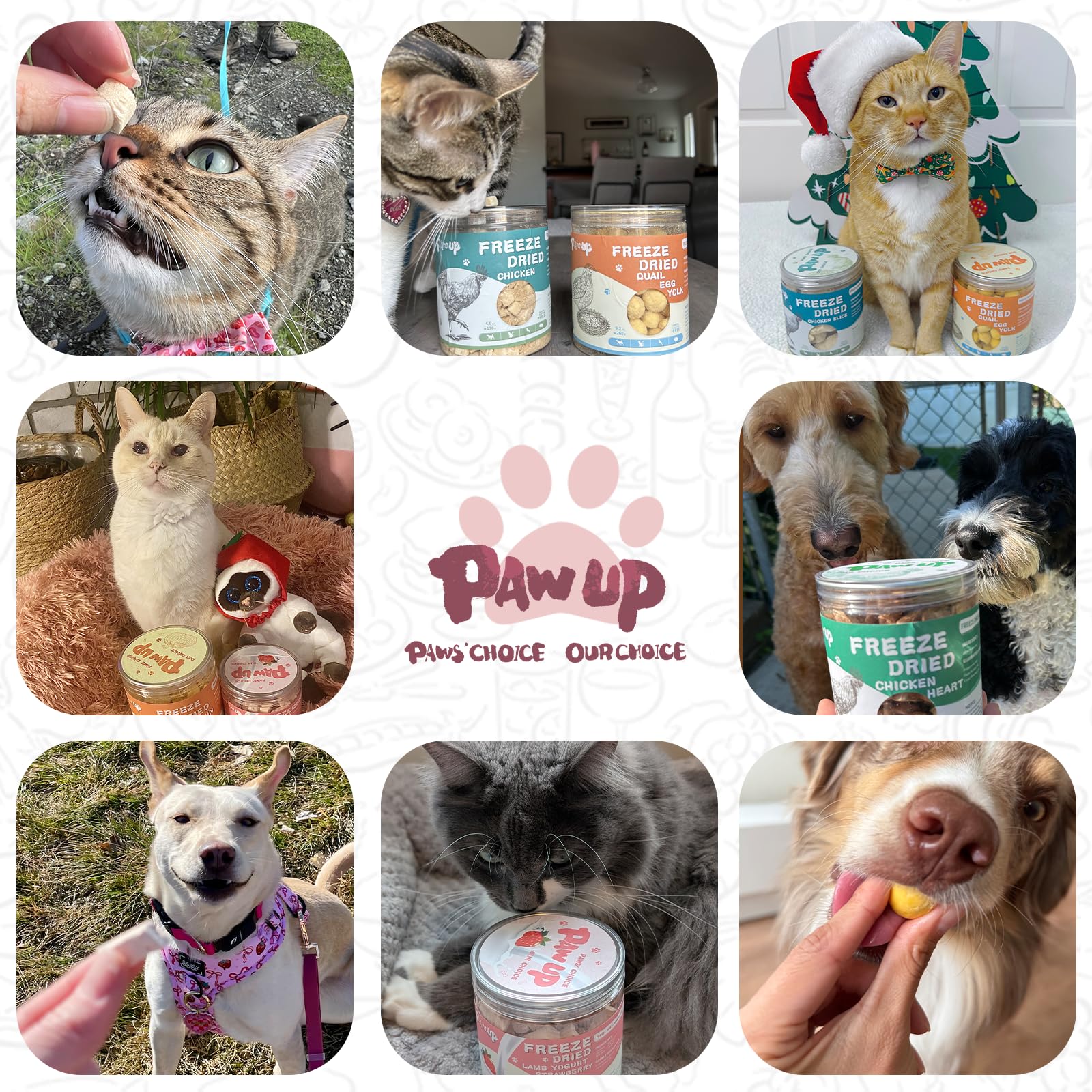 PAWUP sin aditivos artificiales: opción segura para cachorros en crecimiento.