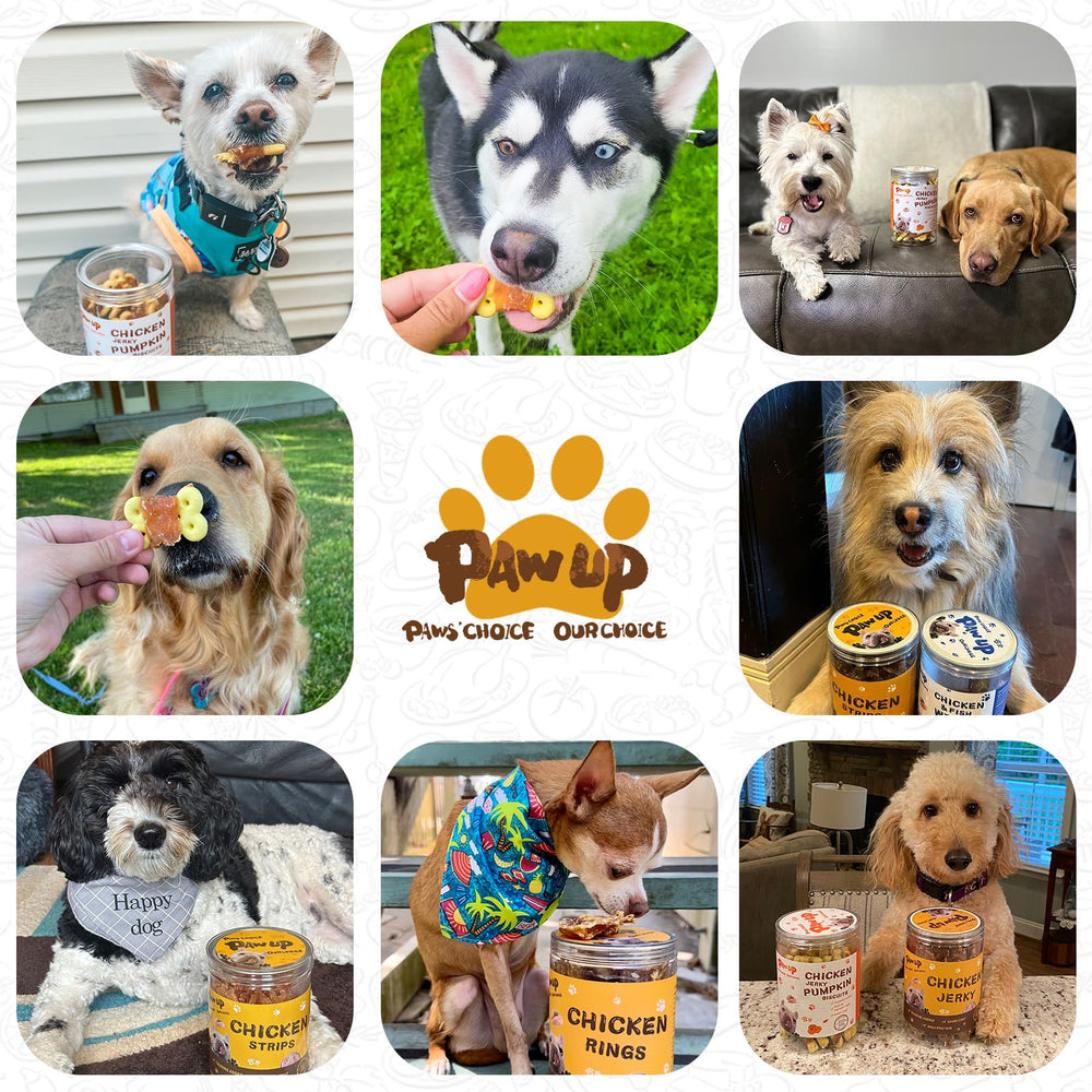 PAWUP snack bajo grasa, fácil de digerir para perros sensibles