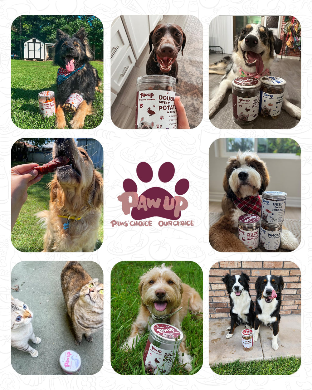 PAWUP Snack energético para días activos y paseos