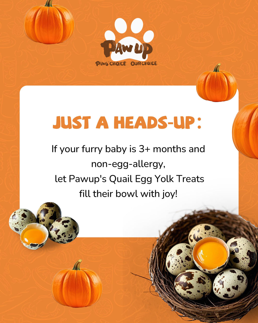 PAWUP topping para comida, añade sabor y aroma