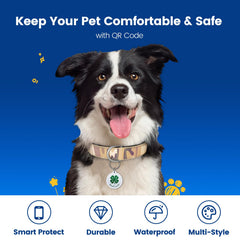 Etiqueta PawView con trébol de cuatro hojas, ideal para mascotas aventureras.