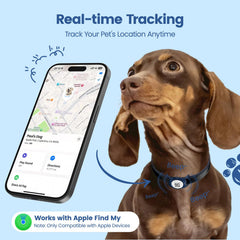PawView localización en tiempo real para perros desde tu móvil.