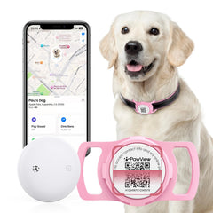 PawView localizador para collar con ubicación en tiempo real