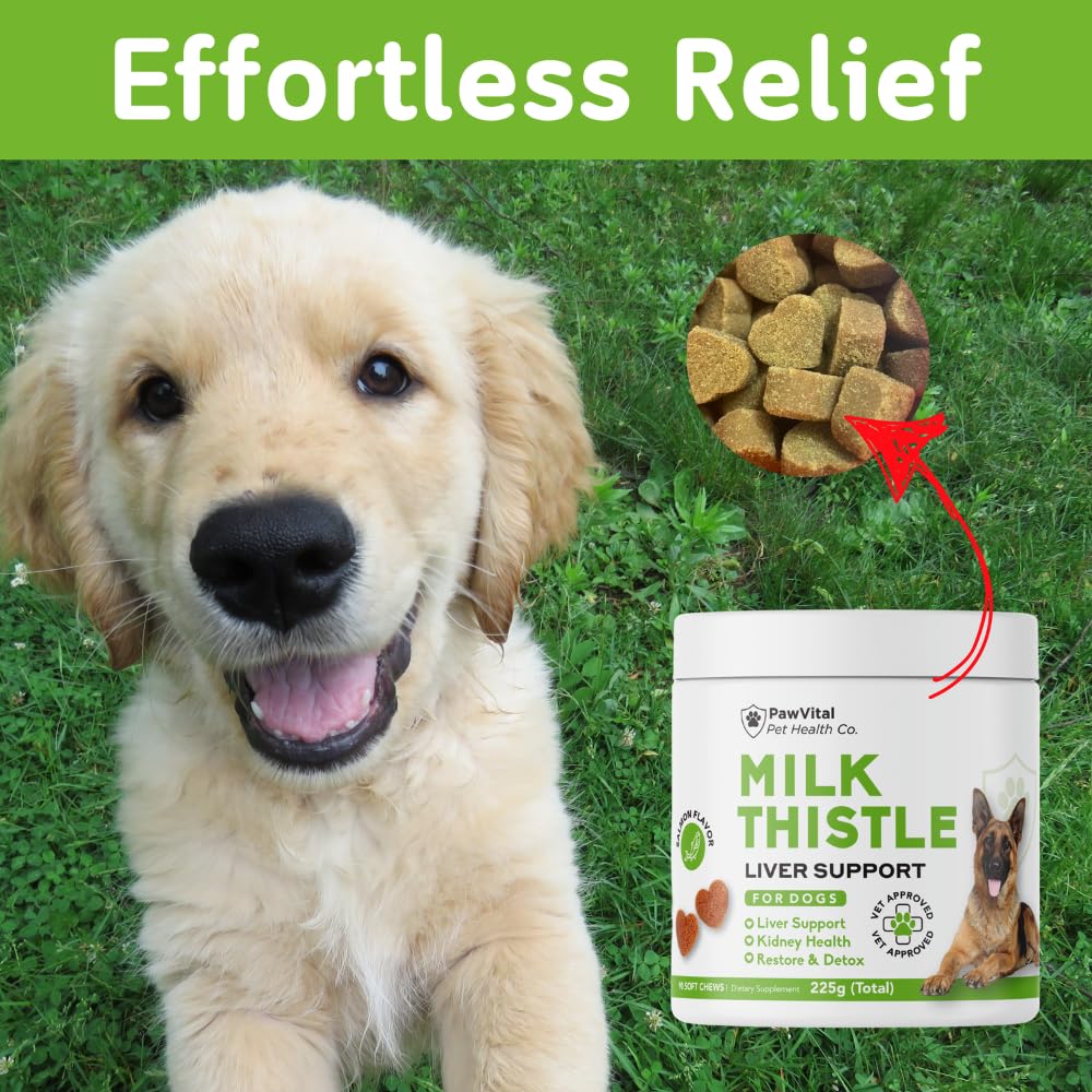 PawVital Masticables para perros: acción saludable en cada mordisco