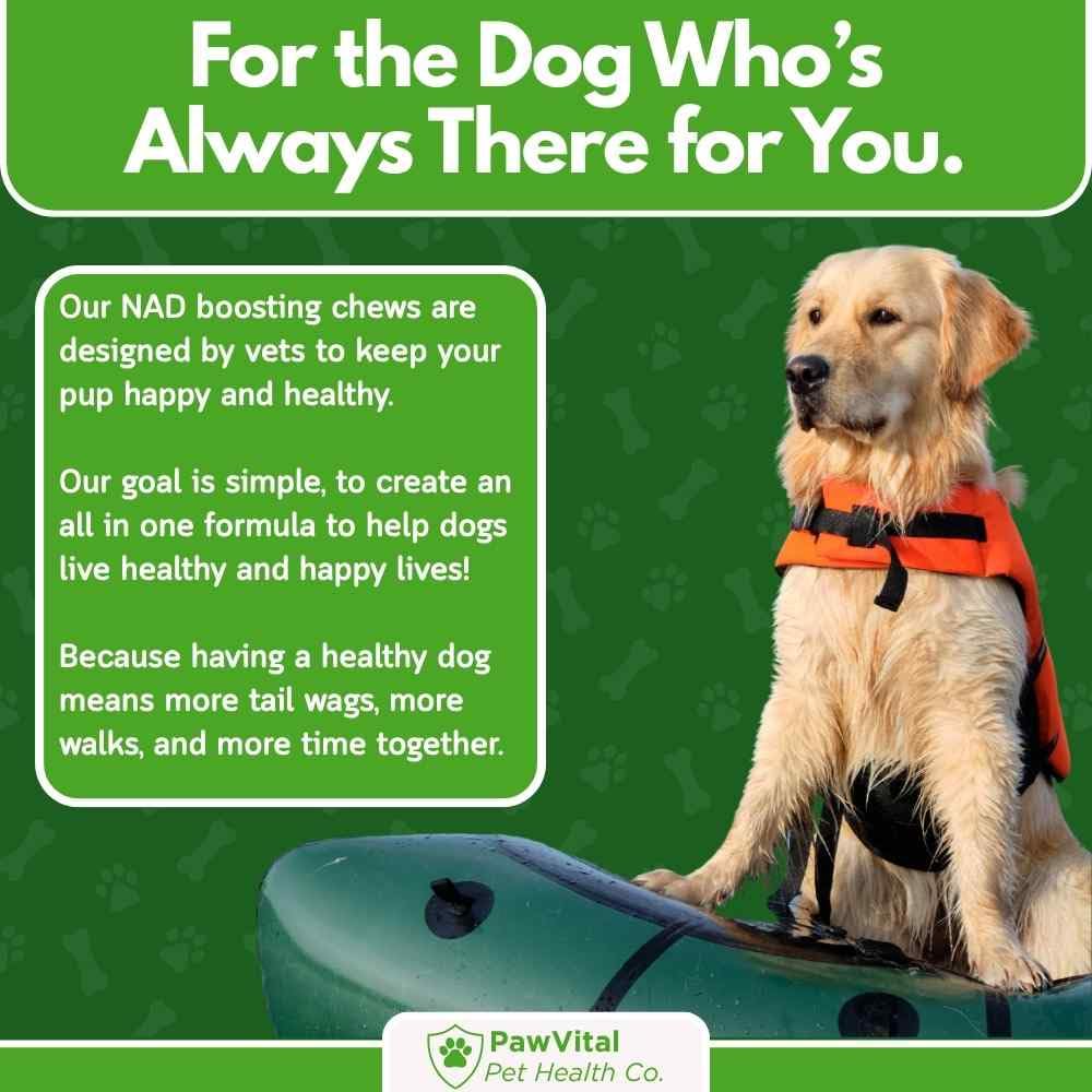 PawVital NAD+ Chews empaque sin artificios, sin sabores artificiales.