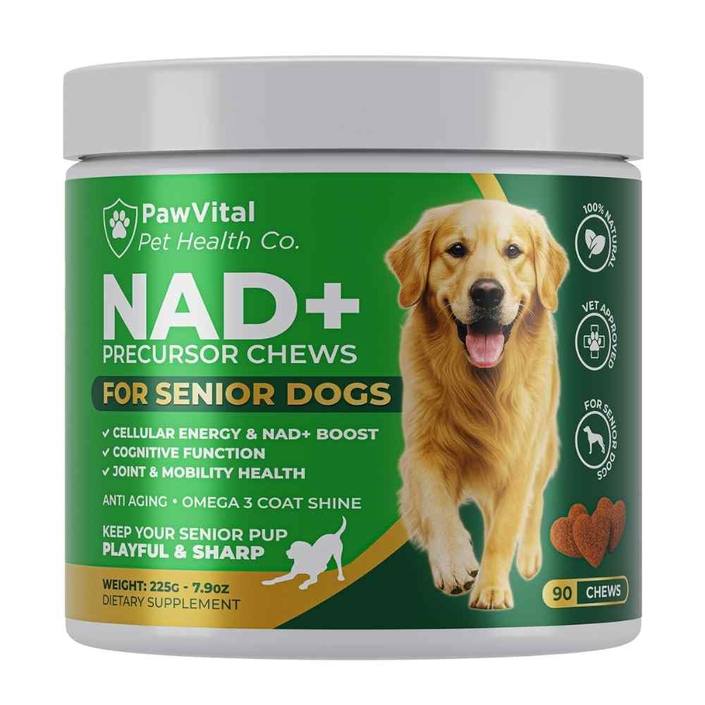 PawVital NAD+ Chews para perro senior en bote, fácil de guardar.