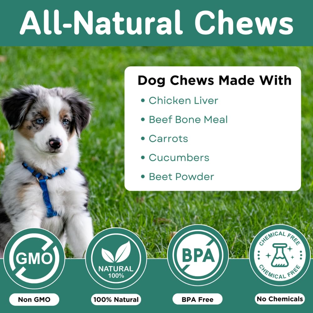 PawVital sin derrames, fórmula limpia sin desorden ni olores.