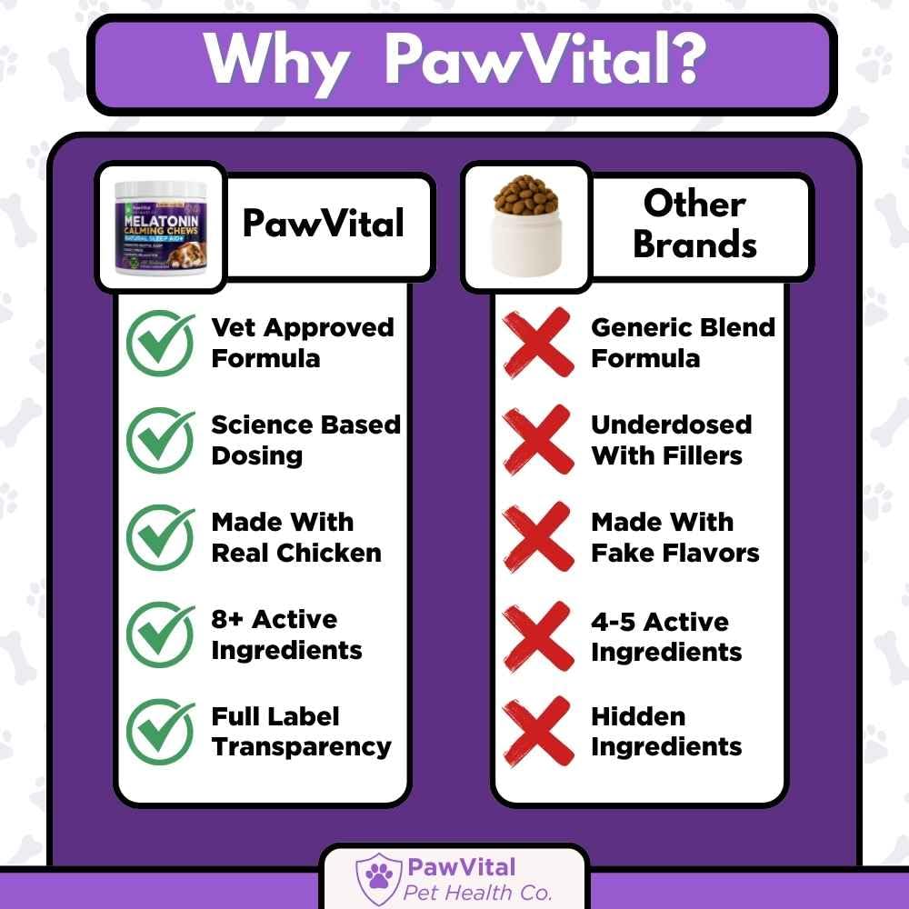 PawVital tarro con etiqueta limpia, uso diario seguro para perros.