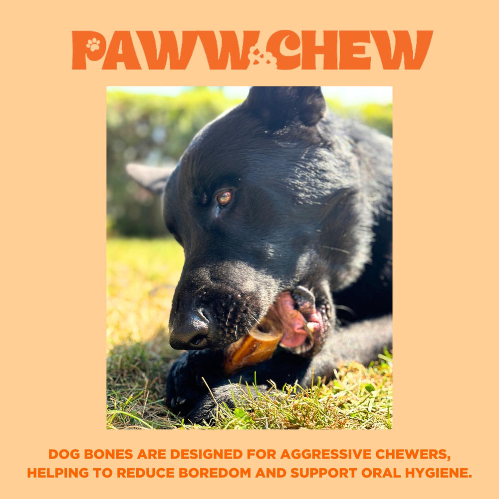 PAWW CHEW empacado en 6 piezas, ideal para rotación