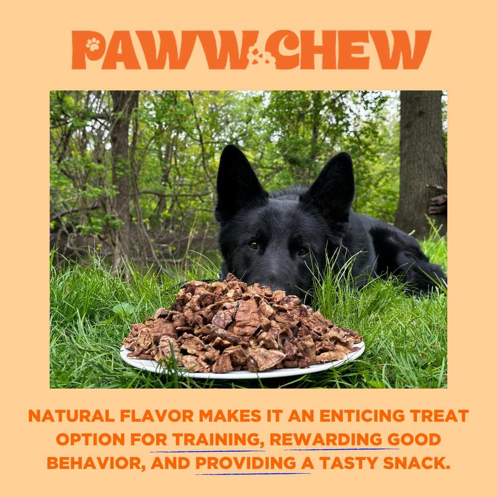 PAWW CHEW ayuda a la salud dental al masticar.