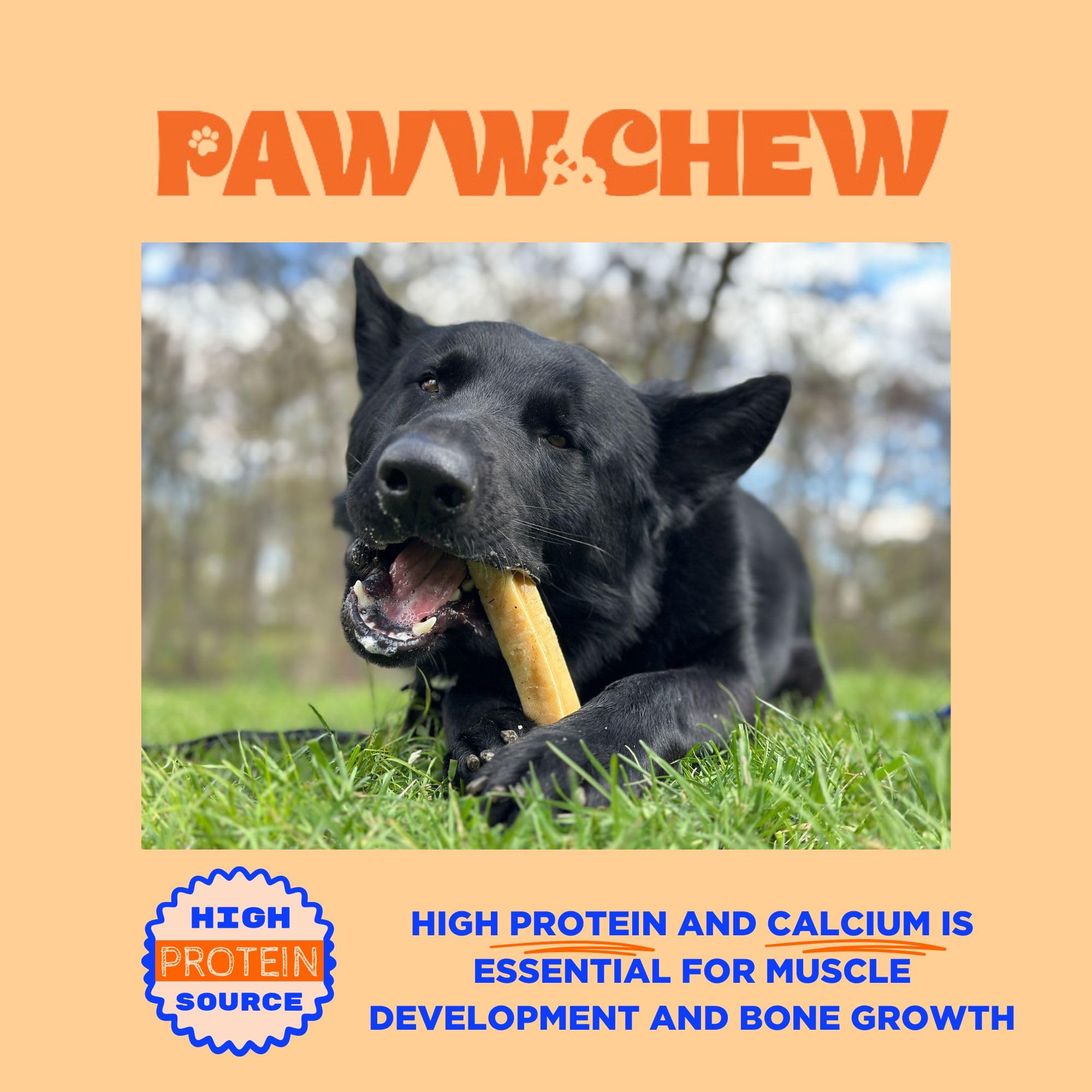 PAWW CHEW Yak Cheese Sticks masticación larga para perros activos.