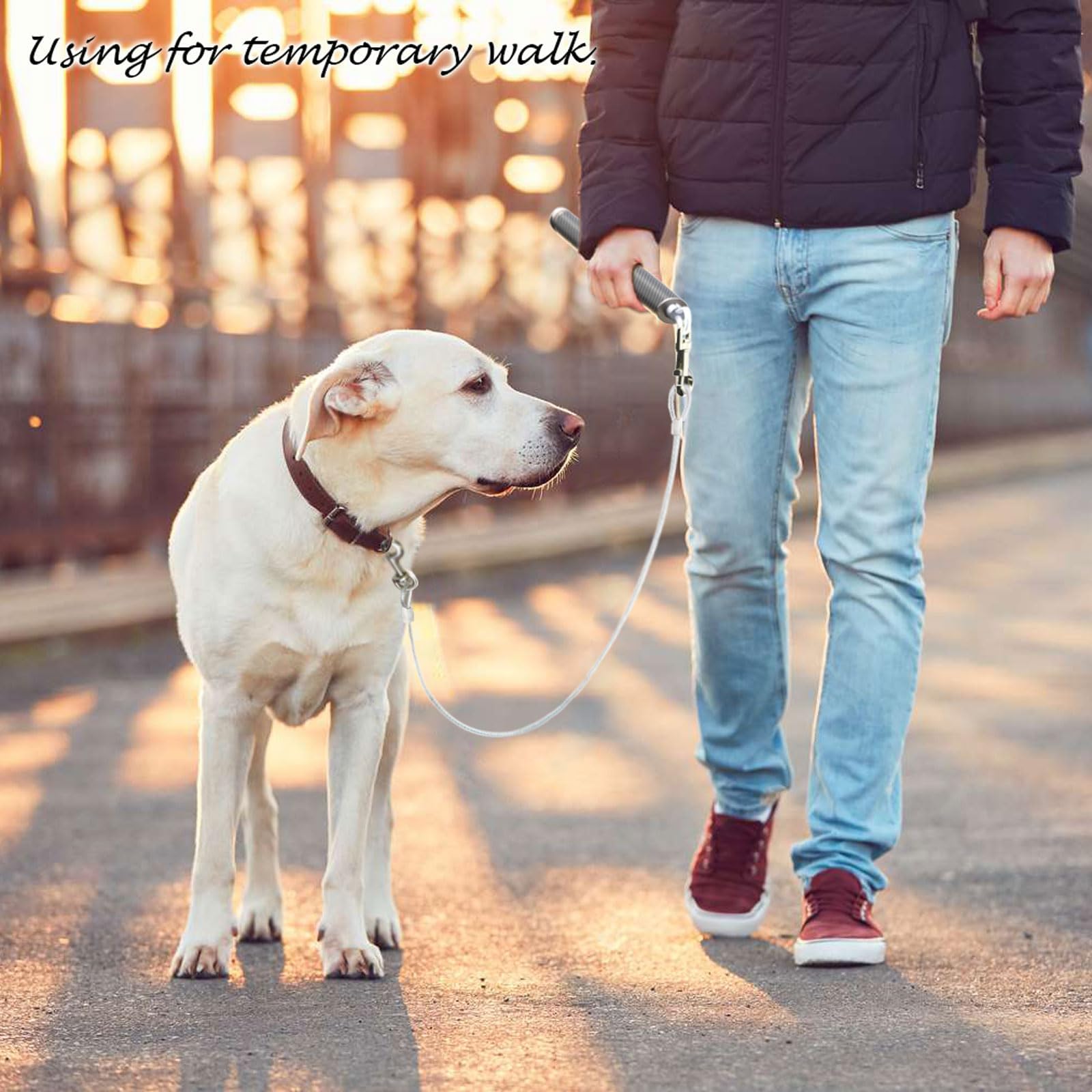 Pawxaw uso en bici y paseo con correa extraíble para versatilidad