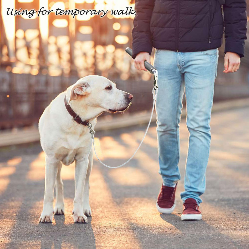 Pawxaw uso en bici y paseo con correa extraíble para versatilidad