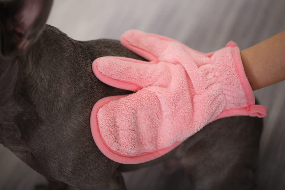 Toalla Pawyee con diseño Dino rosa divertido para vestir a la mascota.