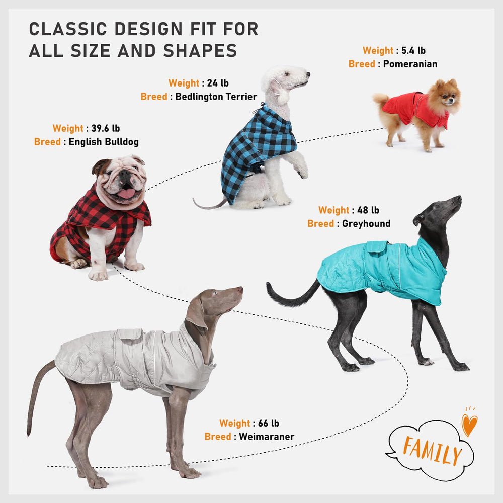 PAWZ Road talla XS-XXXL para todas las razas y formas corporales.