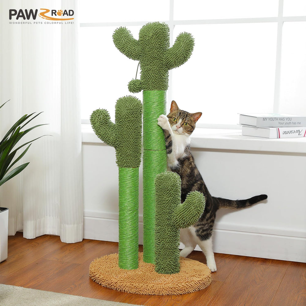 PAWZ Road altura ajustable de 7.5 a 35 pulgadas para estiramientos