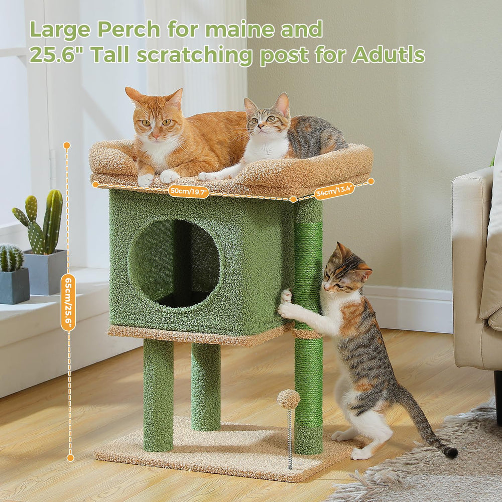 PAWZ Road Arbol Gato bola muelle invita a juego activo