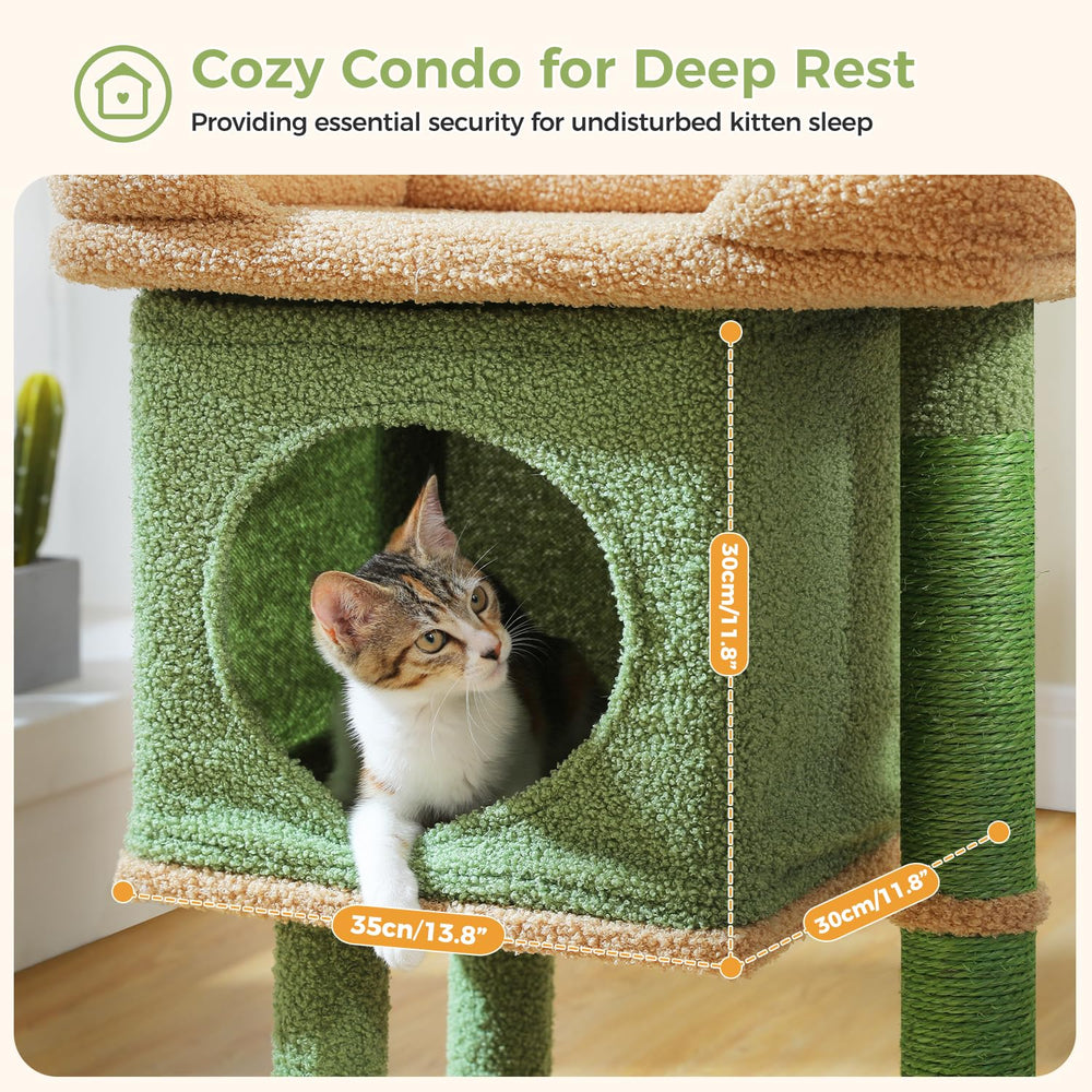 PAWZ Road Arbol Gato cueva central para descanso privado