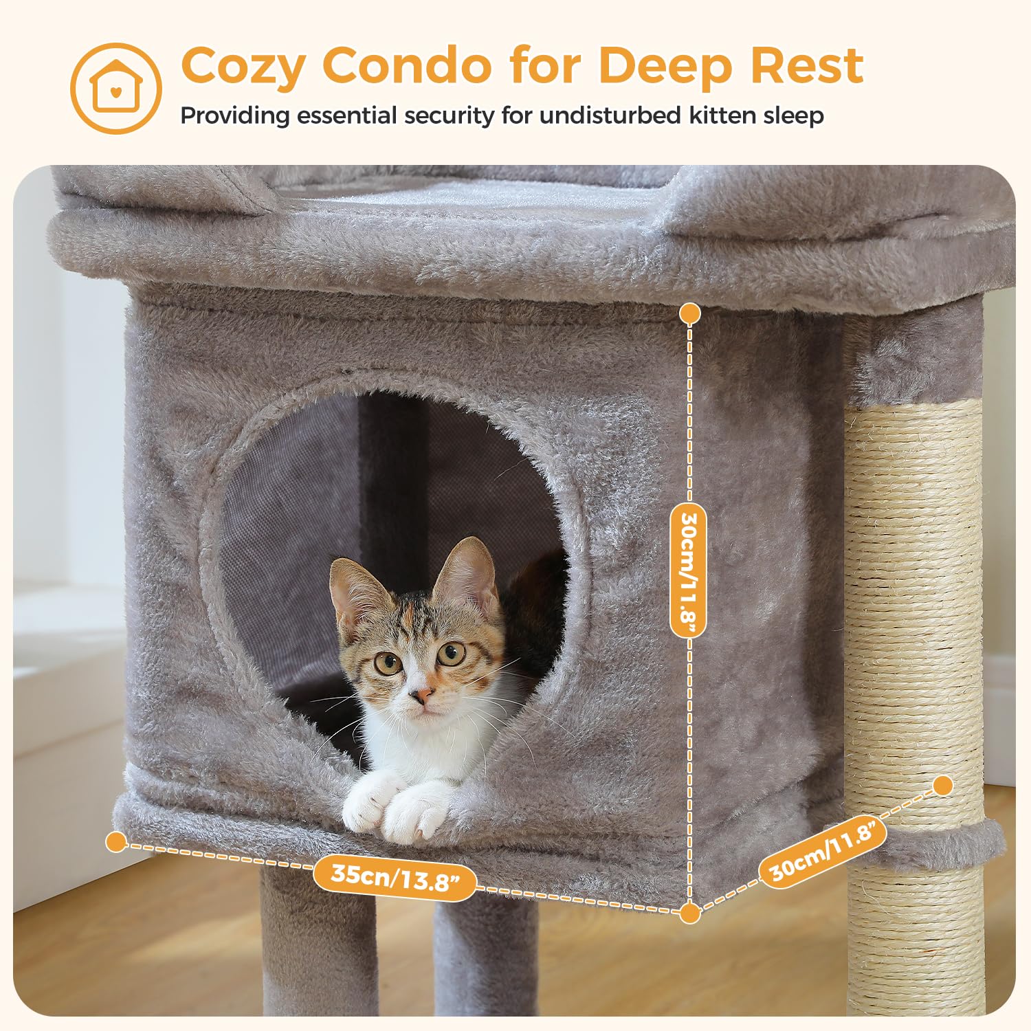 PAWZ Road árbol para gatos: acceso frontal fácil para entrar y salir